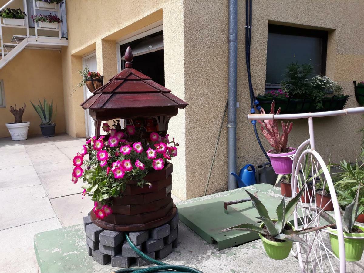 Apartman I Sobe Nikolas Palić Exterior foto